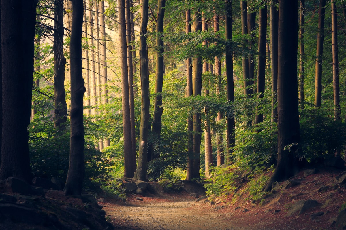 Secrets of Podlasie